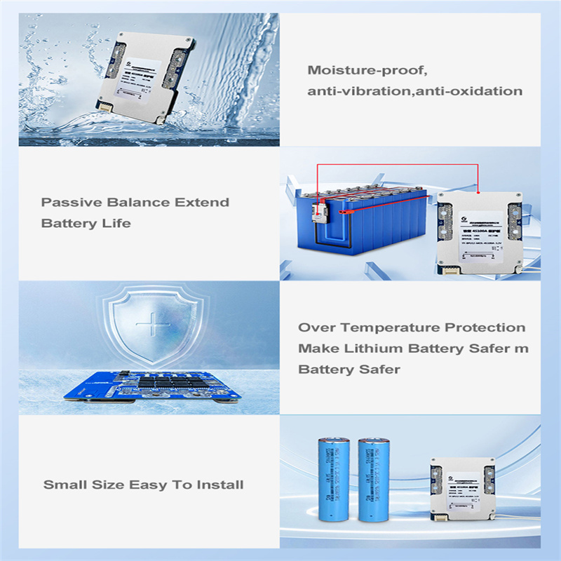 VEFEPO4-Carte de protection de - Lithium Battery 100Ah avis et prix